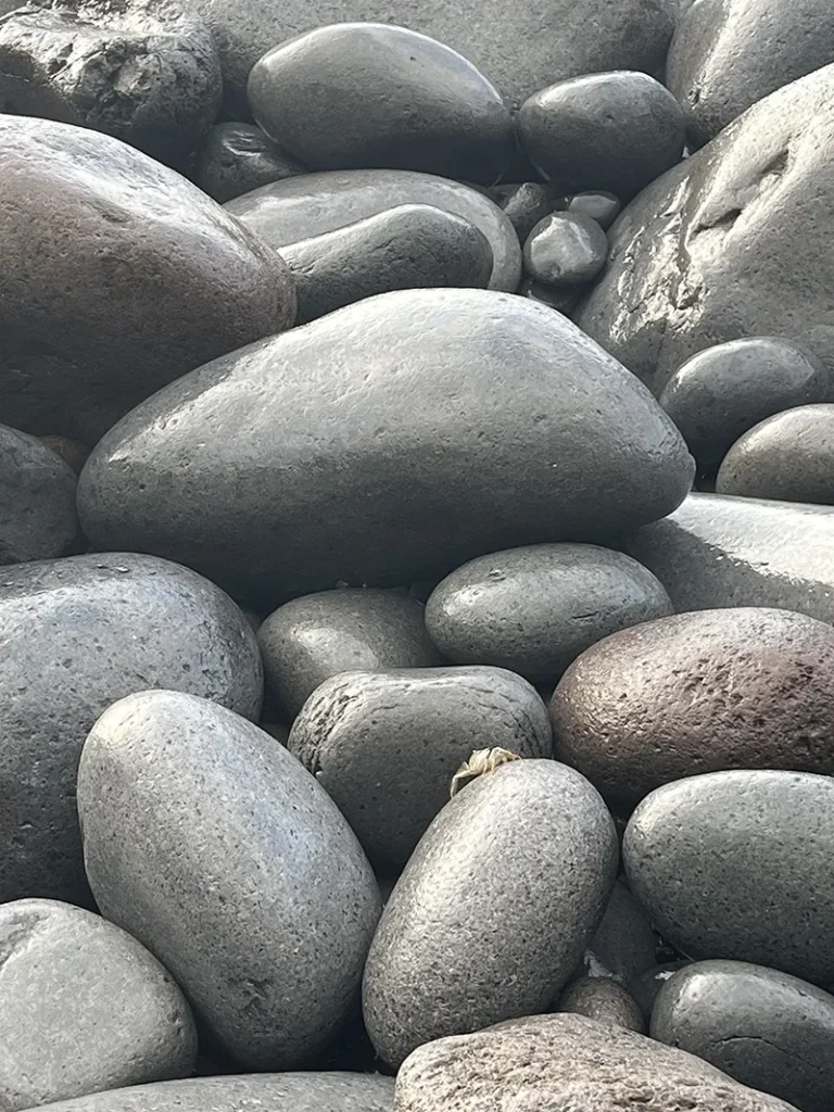 Petit crabe sur les rochers sur la plage à Câmara de Lobos à Madeire